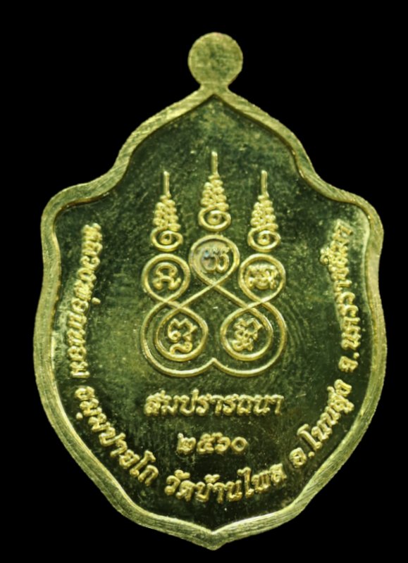 เหรียญมังกรคู๋ หลวงพ่อถนอม ธมฺมปายโก รุ่นสมปราถนา  เนื้อทองฝาบาตรลงยาสีธงชาติ - 2