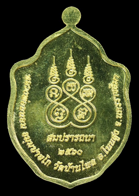 เหรียญมังกรคู๋ หลวงพ่อถนอม ธมฺมปายโก รุ่นสมปราถนา  เนื้อทองฝาบาตรลงยาแดง - 2
