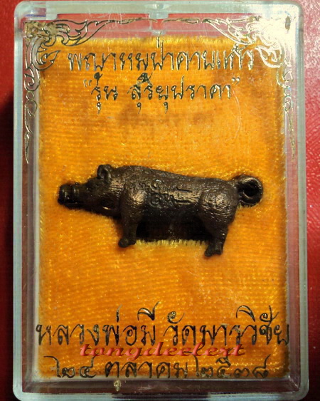 พญาหมูป่าคาบแก้ว หลวงพ่อมี วัดมารวิชัย จ.อยุธยา สวยมากค่ะ - 3