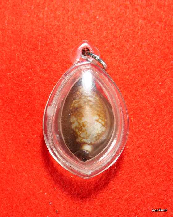 เบี้ยแก้ หลวงพ่อเจี๊ยบ เบี้ยแก้ชีวิต  วัดประชาโฆสิตาราม - 1