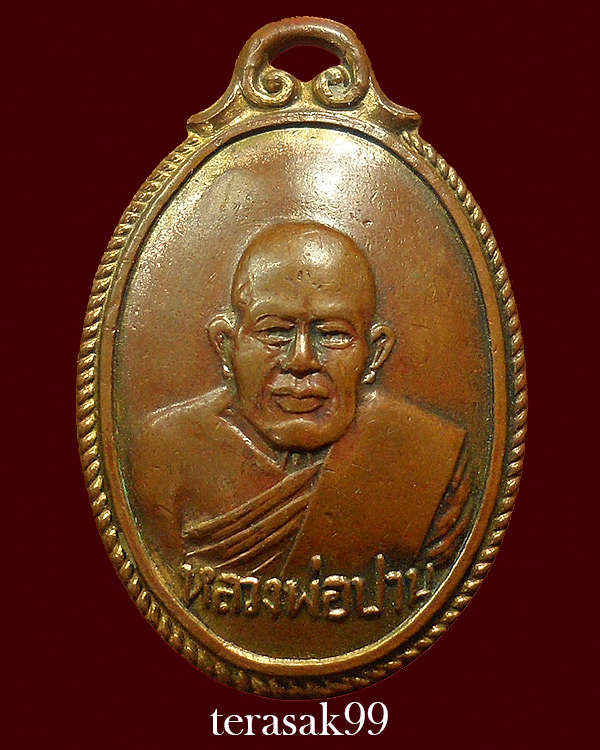 เหรียญหลังเต่า หลวงพ่อปาน พิมพ์หูร่ม วัดมงคลโคธาวาส(บางเหี้ย) รุ่นอนามัยบางบ่อ ปี2506 เนื้อทองแดง - 1