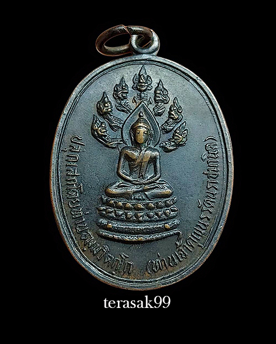 เหรียญพระนาคปรก (ปรกจเร) เจ้าคุณนรฯ บล็อคดาวกระจาย + ก้อนเมฆ นิยมสุด - 1