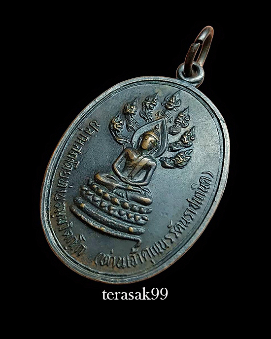 เหรียญพระนาคปรก (ปรกจเร) เจ้าคุณนรฯ บล็อคดาวกระจาย + ก้อนเมฆ นิยมสุด - 3