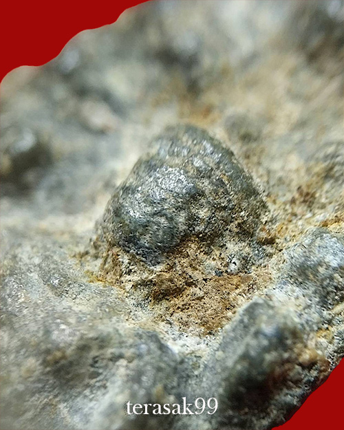 พระนาคปรกหลังปรกเจ็ด เนื้อชินเขียว กรุวังบัว เพชรบุรี(2) - 3