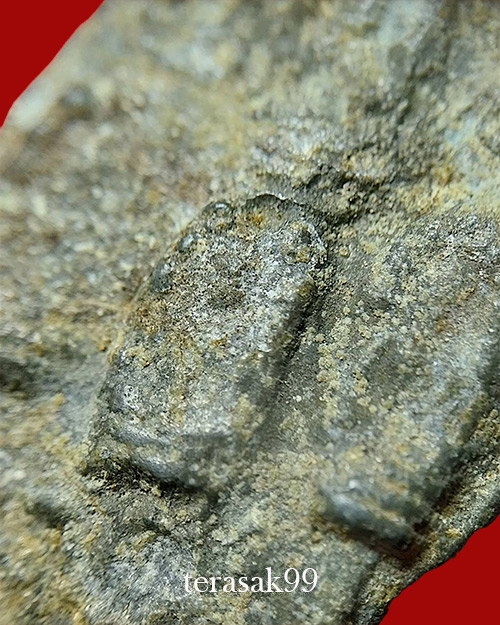 พระนาคปรกหลังปรกเจ็ด เนื้อชินเขียว กรุวังบัว เพชรบุรี(3) - 4