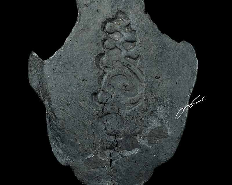 เศียรพ่อแก่ฤาษี พิมพ์ใหญ่ อาจารย์เบส เมืองฝาง - 4