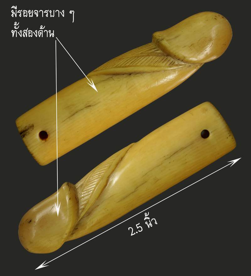 ปลัดขิกท่านอาจารย์เฮง ไพรวัลย์ เนื้อปลัดทำจากงากำจัด / งากำจาย  - 1