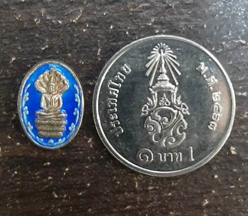 เหรียญเม็ดแตงนาคปรก เนื้อเงินลงยาน้ำเงิน หลวงปู่คร่ำ วัดวังหว้า จ.ระยอง ปี 37 - 3