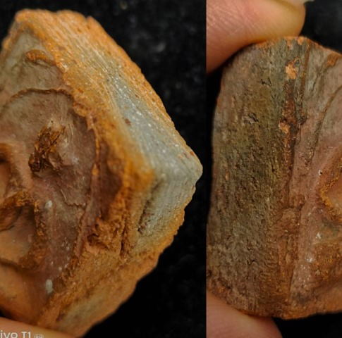 พระเจ้าสิบชาติ แผงตัด กรุวัดกระชาย 3 - 5