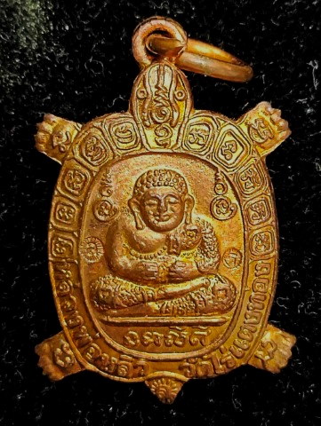 เต่าหลวงปู่หลิว วัดไร่แตงทอง (ขวัญใจคนจน) - 1