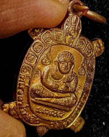 เต่าหลวงปู่หลิว วัดไร่แตงทอง (ขวัญใจคนจน) - 5