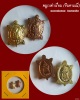 ชุดเหรียญพญาเต่าเรือนเล็ก เนื้อทองฝาบาตร+ทองแดง ปี 2549 หลวงพ่อทรง วัดศาลาดิน จังหวัดอ่างทอง