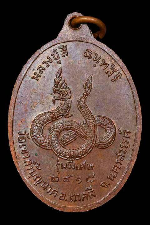 เหรียญหลังพญานาค หลวงปู่สี ฉนฺทสิริ วัดเขาถ้ำบุญนาค ปี 2518 (584) - 2