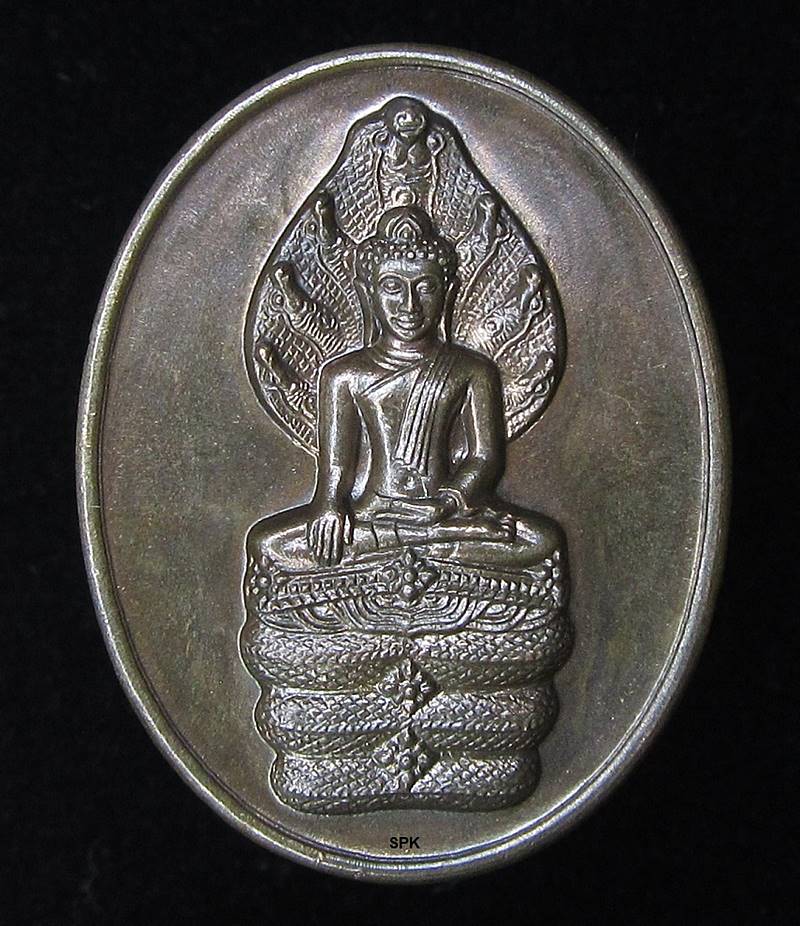 เหรียญ ปางนาคปรก สธ. ครบ 3 รอบ (G23) - 1