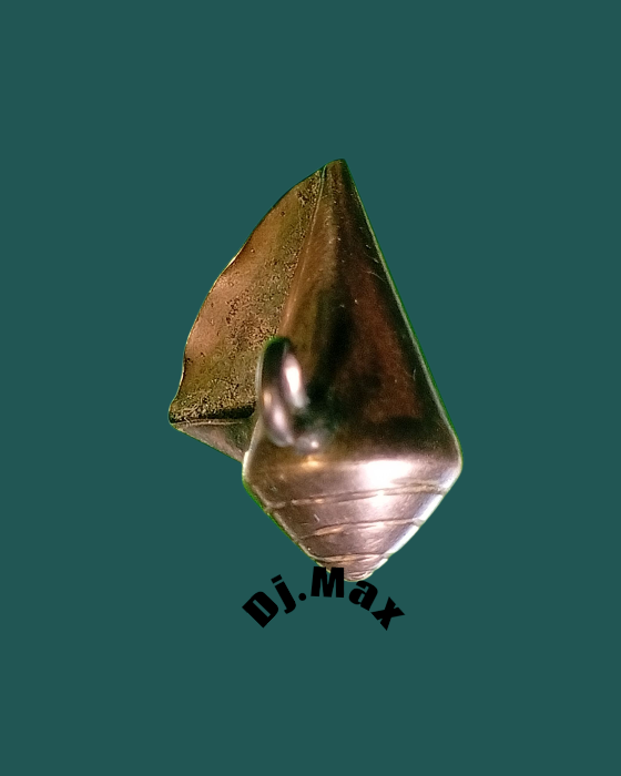 หอยเนื้อนากเก่า  - 2