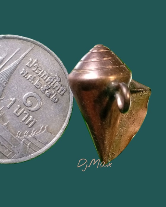 หอยเนื้อนากเก่า 2 - 3