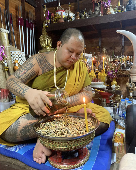 เสือคาบมณี (เสือรวย) ท่านพระอาจารย์ พระญาครูแก้วมงคล อิทปัญโญ วัดป่าสนามชัย จ.ร้อยเอ็ด - 3