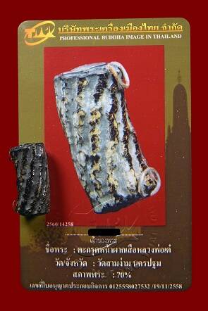 ตะกรุดหนังหน้าผากเสือ หลวงพ่อเต๋ คงทอง ยุคต้น - 5