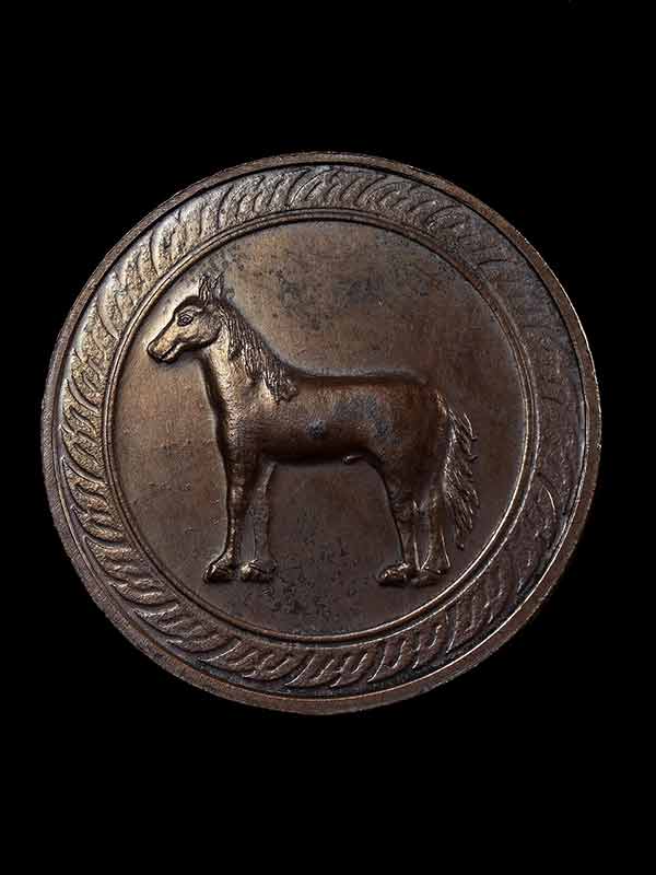  เหรียญ 12 นักษัตร นามปีรุ่นแรกปี 2532 ปีมะเมีย - 1