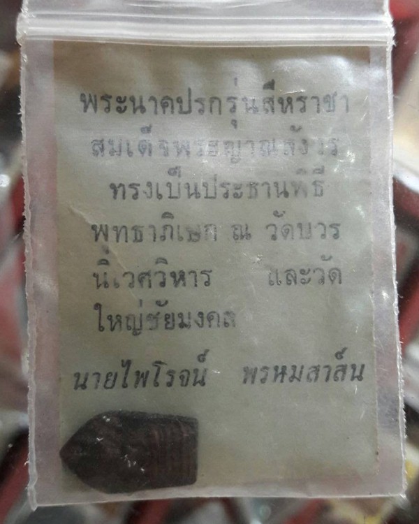 พระนาคปรกสีหราชา - 3