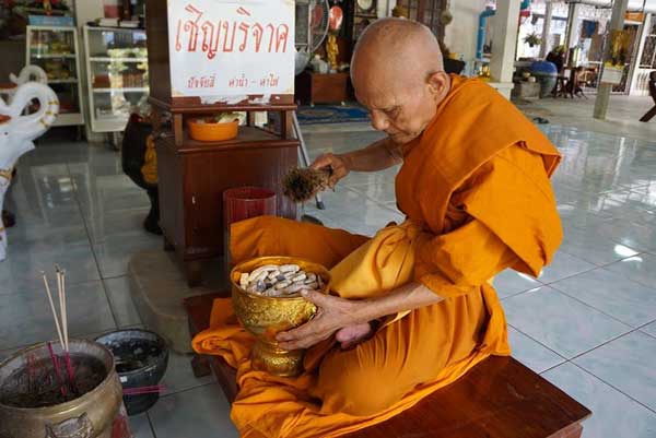 เสือกระดกหาง หลวงปู่แก่น วัดเขื่อนท่าทุ่งนาประชาสรรค์ จ.กาญจนบุรี - 5