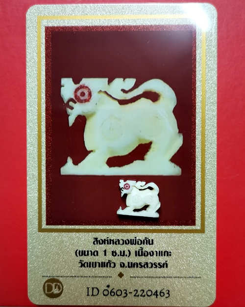 สิงห์งาแกะหลวงพ่อกัน  วัดเขาแก้ว จ.นครสวรรค์ พร้อมบัตรรับรองพระแท้ - 3