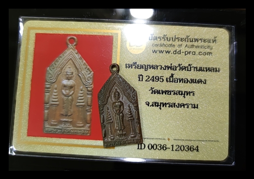 เหรียญหลวงพ่อวัดบ้านแหลม เนื้อทองแดง ปี2495 วัดเพชรสมุทร จ.สมุทรสงคราม มีบัตรพระแท้ - 4