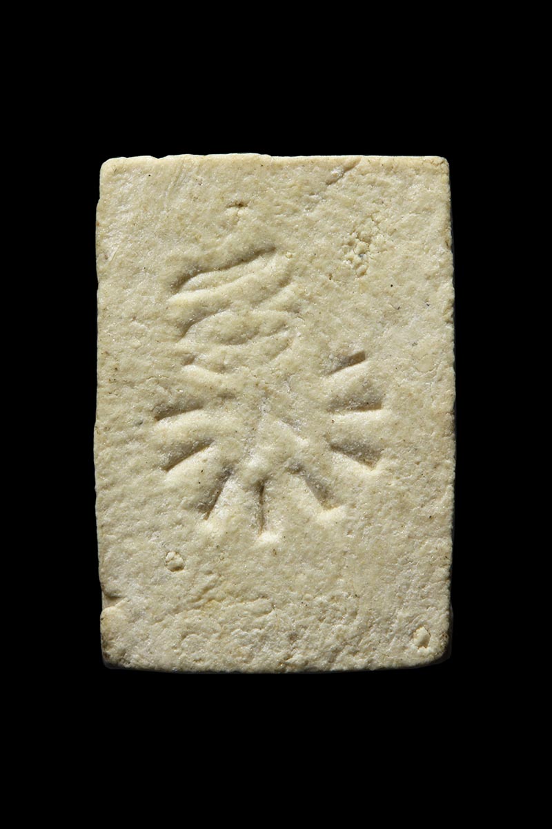 พระผงพิมพ์วัดปากน้ำ หลวงพ่อพรหม วัดขนอนเหนือ หลัง พ รัศมี ปี 2526  - 2