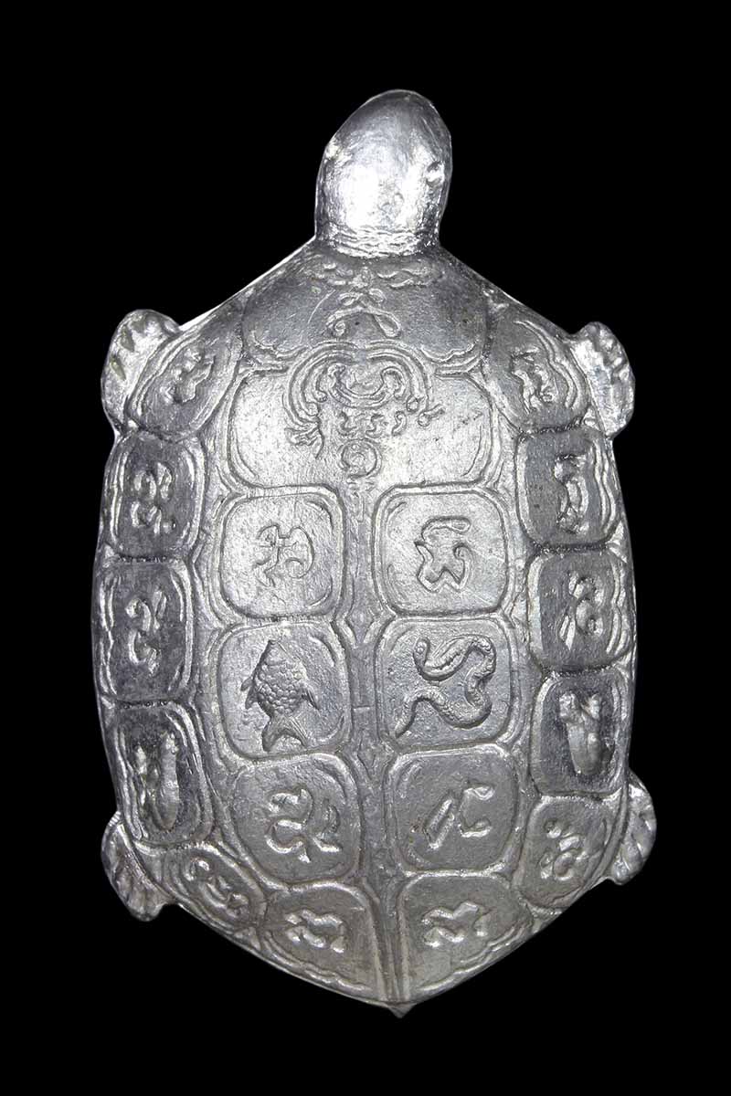 เต่าตะกั่ว พระอาจารย์นา วัดบางปิ้ง สมุทรปราการ - 1