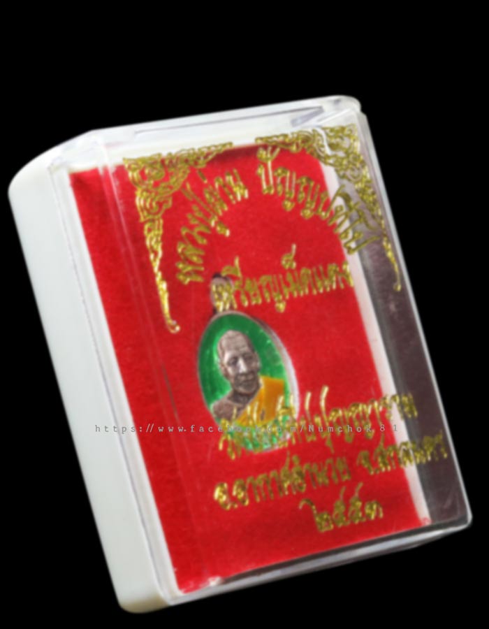 เหรียญเม็ดแตง หลวงปู่ผ่าน ปัญญาปทีโป ชุดกรรมการ - 1