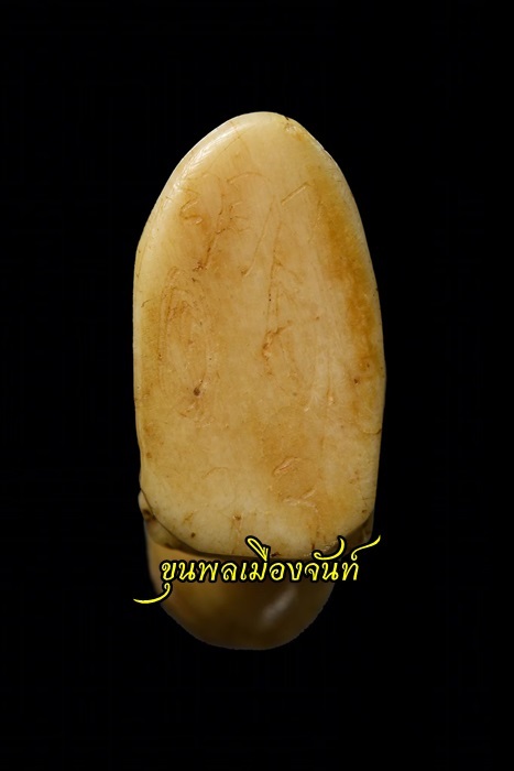 เสือแกะหลวงพ่อเรือน วัดคลองด่าน สมุทรปราการ - 5