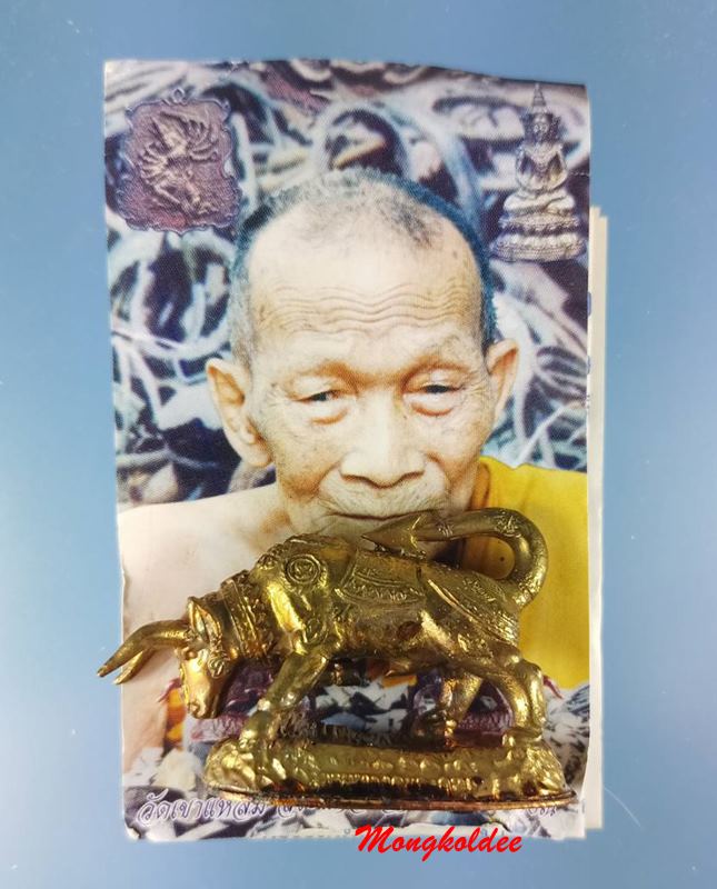 วัวธนูทองคะนองฤทธิ์ หลวงปู่กาหลง เขี้ยวแก้ว วัดเขาแหลม ปี51 เนื้อปลอกลูกปืน No.1617 - 5
