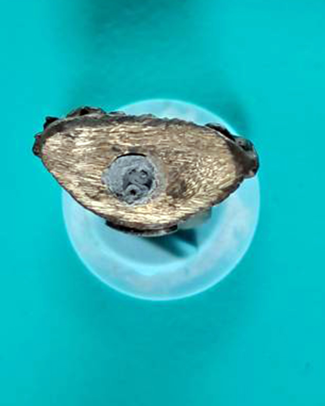 ท่านเจ้าคุณนรฯ วัดเทพศิรินทราวาช กทม. - 5