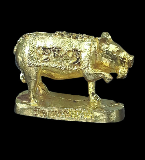 1 ใน 2999 *** พญาหมูกวักทรัพย์ รุ่นแรก พระอธิการใจ วัดพระยาญาติ จ.สมุทรสงคราม ปี2551 - 2