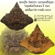 ราหูอมจันทร์ กะลาแกะ หลวงปู่ทิม วัดพระขาว จ.พระนครศรีอยุธยา ปี 2547 หลังปั้มตรายางจารหมึก 