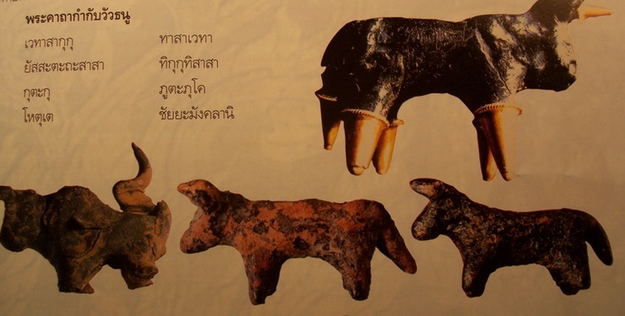 วัวธนู หลวงพ่อน้อย วัดศีรษะทอง  - 5