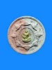 พรายบูรพา ราชันย์ดำ ปี 2549 พิมพ์กรรมการ หน้ากากทองคำ