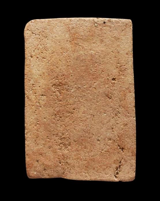 พระสมเด็จรุ่นแรก ลพ.รวย วัดตะโก ปี 2498 - 2