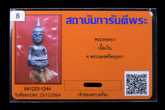 ยอดธง เนื้อเงิน จ. อยูธยา - 3