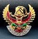 พญาครุฑ อ.วราห์ วัดโพธิทอง รุ่นเปิดขุมทรัพย์ เนื้อทองคำลงยา พิมพ์เล็ก 