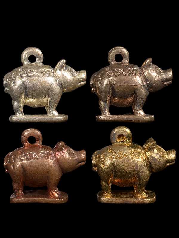 หมูมหาปราบ ชุดกรรมการ หลวงพ่อสาคร วัดหนองกรับ ปี2555 - 2