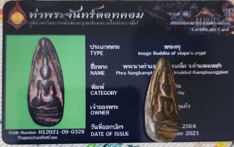 นางกำแพง เม็ดมะเคล็ด - 4