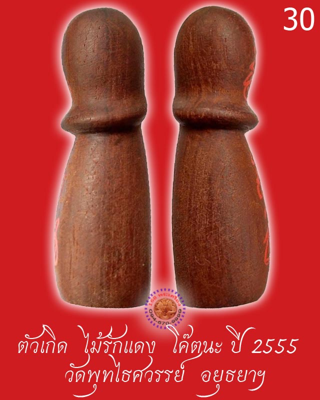 ตัวเกิด ไม้รักแดง ปี 2555 วัดพุทไธศวรรย์ อยุธยา ตัวที่ 30 - 2