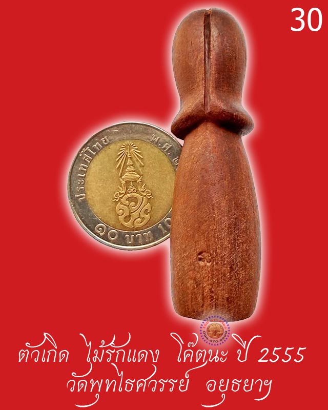 ตัวเกิด ไม้รักแดง ปี 2555 วัดพุทไธศวรรย์ อยุธยา ตัวที่ 30 - 3
