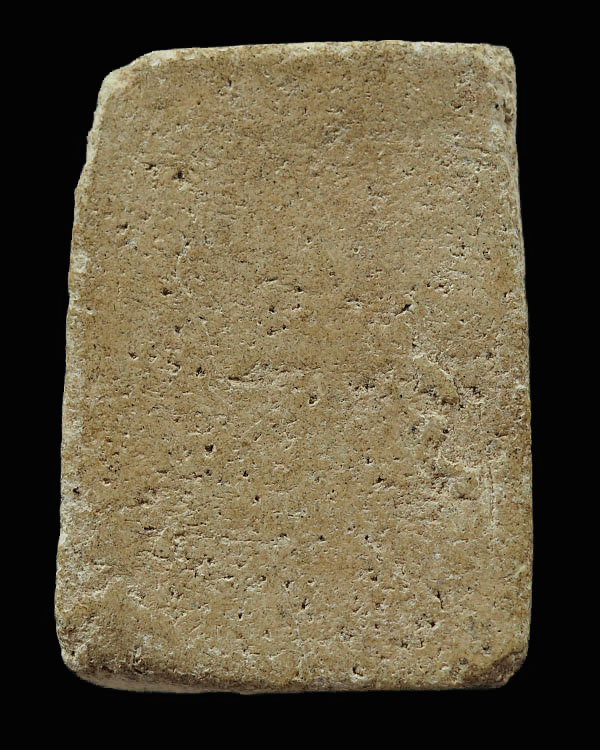 พระผงพิมพ์ลีลา สองพี่น้อง  หลวงปูู่ภู วัดอินทรวิหาร บางขุนพรหม กรุงเทพฯ - 2