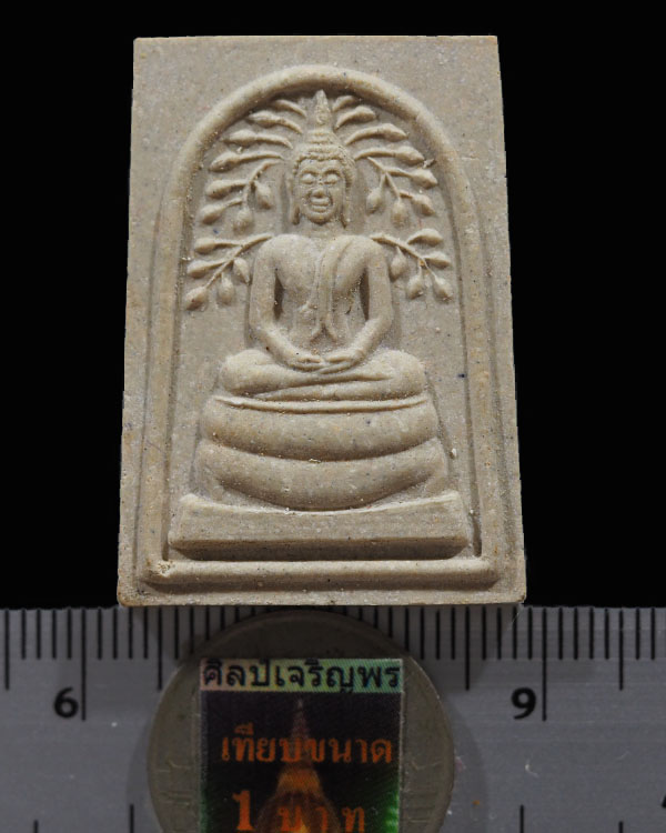 พระสมเด็จปรกโพธิ์ หลังหน้าเสือรุ่น ๑ หลวงพ่อเปิ่น วัดบางพระ จ.นครปฐม รุ่นเสาร์ 5 ปี 2536  หลวงพ่อเปิ - 3