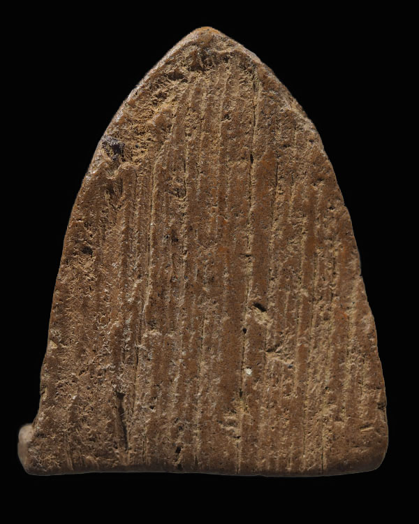 พระเนื้อดินพิมพ์หลวงพ่อโต บางกระทิง  พิมพ์ใหญ่ หลังกาบหมาก  เป็นพระเกจิสร้างยุคหลัง ไม่ใช่พระกรุ  ไม - 2