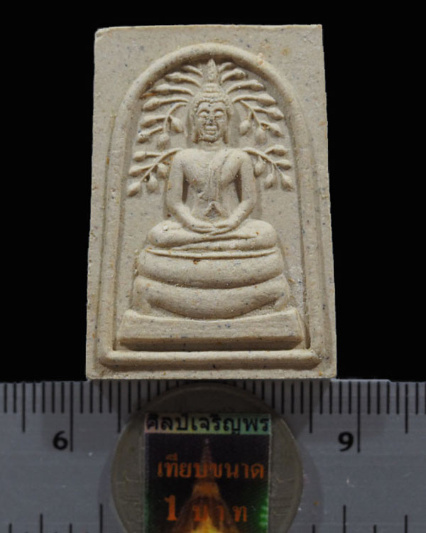 พระสมเด็จปรกโพธิ์ หลังหน้าเสือรุ่น ๑ หลวงพ่อเปิ่น วัดบางพระ จ.นครปฐม รุ่นเสาร์ 5 ปี 2536  หลวงพ่อเปิ - 3