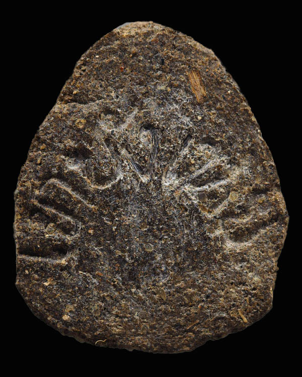 พระปิดตา พิมพ์ใหญ่ ยุคต้น (หายาก) เนื้อว่านสิริมหากาฬ พระอาจารย์นก เทพเจ้าแห่ง วัดเขาบังเหย จ.ชัยภูม - 2