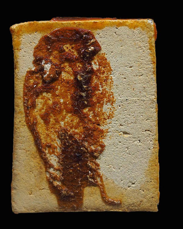 พระผงรูปเหมือนสมเด็จพุฒาจารย์โตฯ วัดเกาะกลอย จ.ระยอง หลวงปู่ทิม,และเกจิสายระยอง ร่วมปลุกเสก ปี 2514 - 2